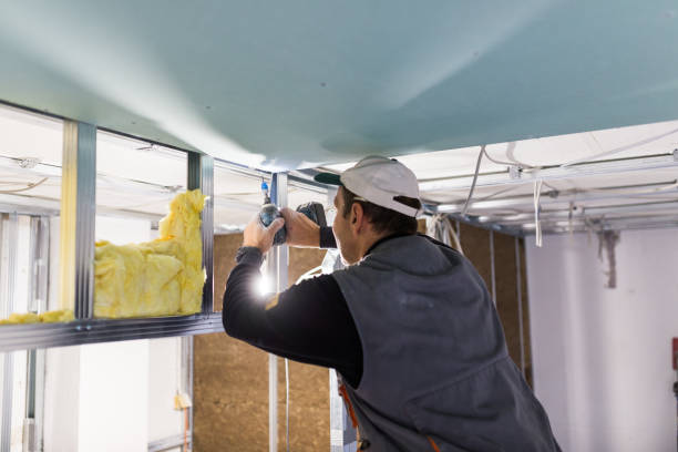 Types of Insulation We Offer in Asotin, WA