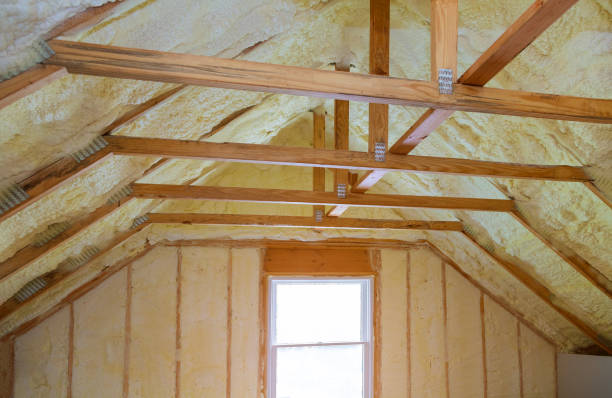 Best Specialized Insulation Services in Asotin, WA