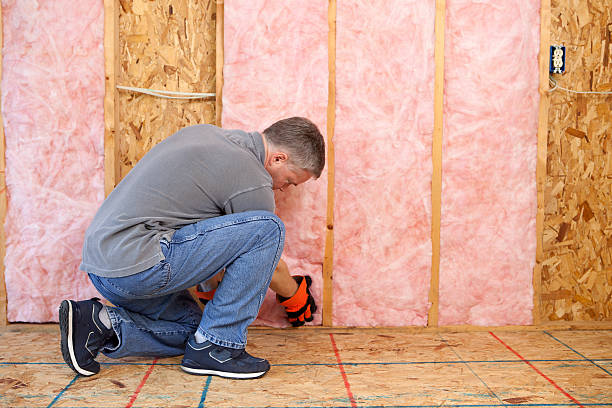 Best Spray Foam Insulation in Asotin, WA