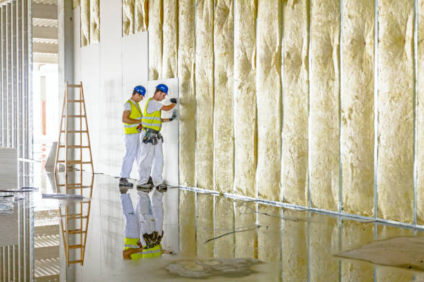 Best Geographic-Specific Insulation Services in Asotin, WA